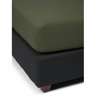 2---the_perfect_organic_jersey_fitted_sheet_forest_green_409587_103_232_lr_s2_p