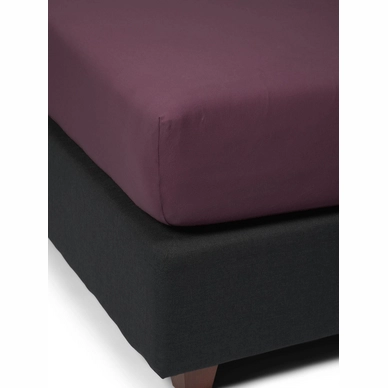 2---the_perfect_organic_jersey_fitted_sheet_marsala_409587_103_362_lr_s1_p