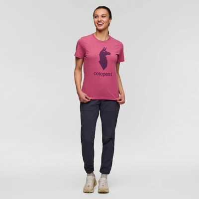 4---1200x1200png-F24WCotopaxiLlamaTShirtSangria_002_1200x