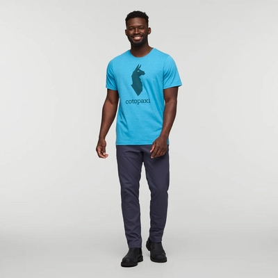 3---1200x1200png-F24MCotopaxiLlamaTShirtLake_002_1200x