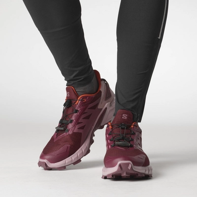 8---L47594500_0_MOD_SUPERCROSS 4 GTX WTawny Port_Deauville Mauve_Cherry Tomato