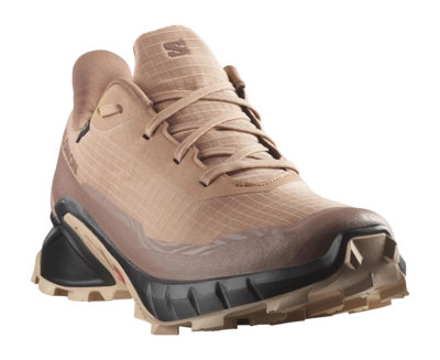 4---L47595100_5_GHO_ALPHACROSS 5 GTX WCork_Black_Hazelnut-_no-bg