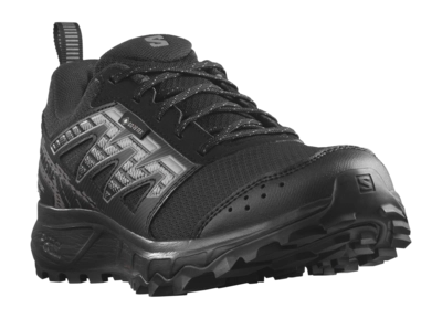 2---salomon-wander-gtx-w-black-plum-kitten-gull (2)-_no-bg