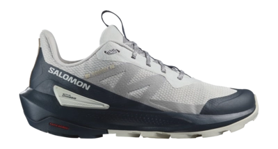 Wanderschuhe Salomon Elixir Activ Herren Glacier Gray Carbon Slate Green