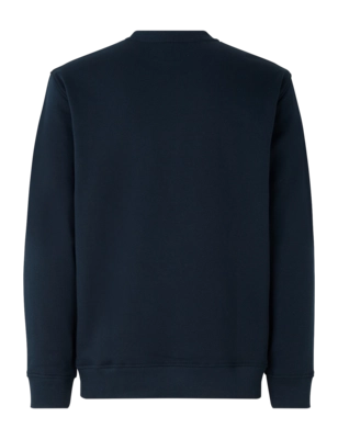 2---unnamed - 2024-10-25T100241.990-_no-bg