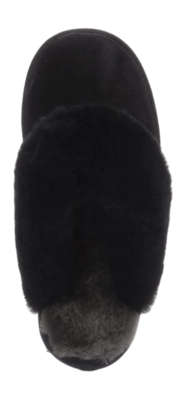2---fls371009-ba-_no-bg