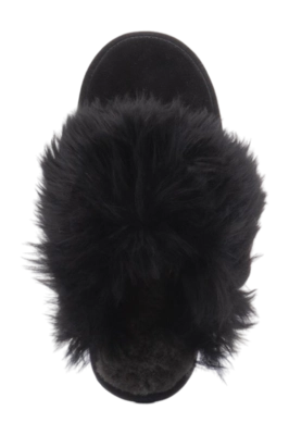 2---wag321109-ba-_no-bg