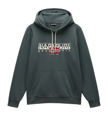 Pull à Capuche Napapijri Homme B-Aylmer Winter Green Urban