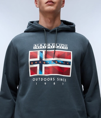 6---NA4IBDG1S-ALT6
