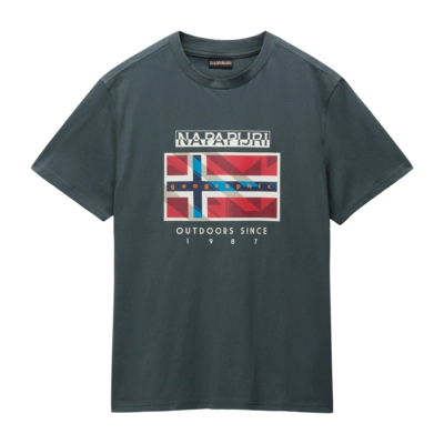 T-Shirt Napapijri S-Dorees SS Herren Green Urban