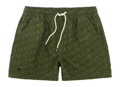 Maillot de Bain OAS Men Green Squiggle