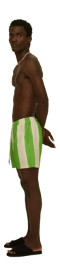 3---aHR0cHM6Ly9vYXMuY2VudHJhY2RuLm5ldC9jbGllbnQvZHluYW1pYy9pbWFnZXMvNjk3XzEwZGYxNTJiNDctZW1lcmFsZC1zdHJpcGUtc3dpbS1zaG9ydHNfNTAwMS0yNjdfZS1vcmlnaW5hbC5qcGc=-_no-bg