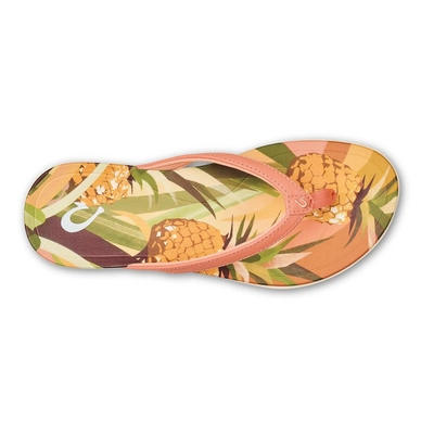 20437_VLPZ_004_W_HoopioHau_ShellCoralPineapple_1024x1024