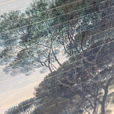 205060_1
