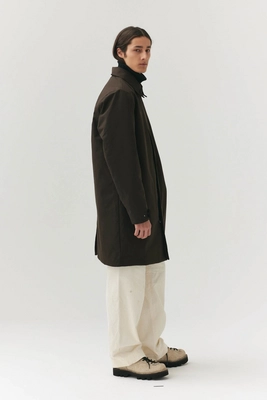 6---longdong_2_cehstnut