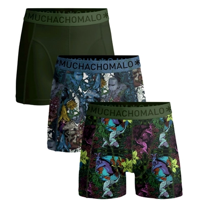 Boxershorts Muchachomalo Earth Elements Herren Print Print Green (3er-Pack)