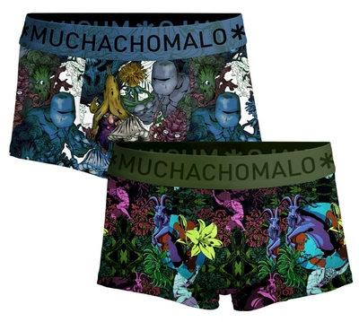 Boxer Muchachomalo Homme Trunks Earth Elements Print Print (Lot de 2)