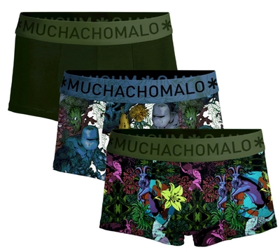 Boxer Muchachomalo Homme Trunk Earth Elements Print Print Green (Lot de 3)