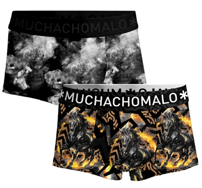 Boxer Muchachomalo Homme Trunks Fire Elements Print Print (Lot de 2)