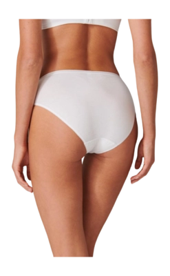 3---175995-100_back-_no-bg