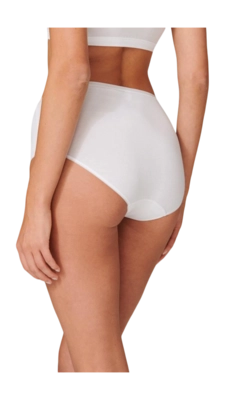 3---175996-100_back-_no-bg