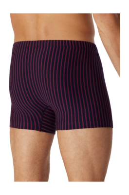 3---shorts-organic-cotton-streifen-mehrfarbig-95-5-1-180499-500-back-_no-bg