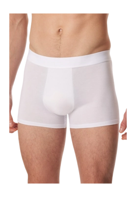 2---shorts-weiss-premium-cotton-1-181529-100-detail2-_no-bg