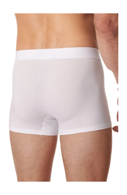 3---shorts-weiss-premium-cotton-1-181529-100-back-_no-bg