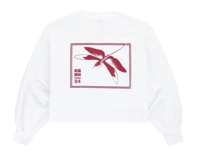 2---APP00061_1000_3_Women_V_Neck_Cropped_Sweater_White_1162x@2x-_no-bg