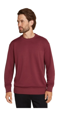 Jumper Icebreaker Men Merino Shifter II LS Port