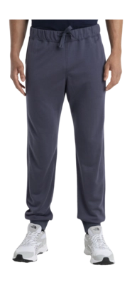 Pantalon de Survêtement Icebreaker Homme Merino Shifter II Graphite