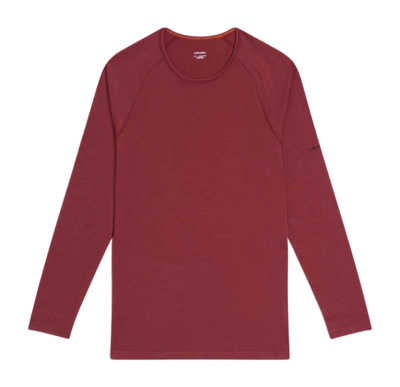 Ondershirt Icebreaker Men Merino 260 Zoneknit Seamless LS Crewe Port