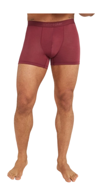 Boxer Shorts Icebreaker Men Anatomica Boxers Port