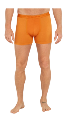 Boxer Icebreaker Homme Anatomica Boxers Ray