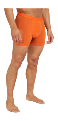 Boxer Icebreaker Homme Anatomica Boxers Blaze