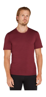 T-Shirt Icebreaker Men Anatomica SS Crewe Port