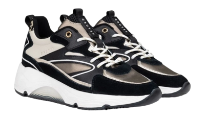 5---Catalina_Bold_Black_Brown_CC223986-957-4-_no-bg