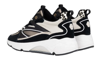 6---Catalina_Bold_Black_Brown_CC223986-957-5-_no-bg