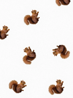 5---FW24_Fabric_squirrels (1)