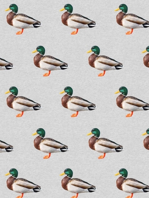 5---FW24_Fabric_quack__repeat (1)