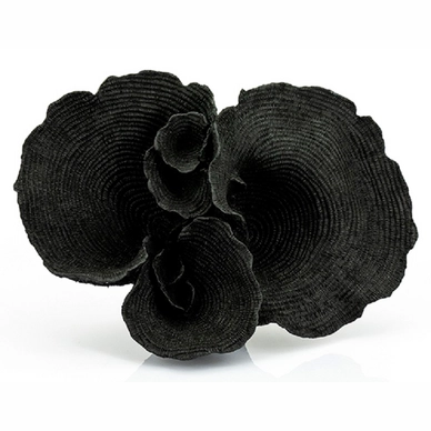 Koraal By-Boo Agari Black
