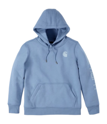 Trui Carhartt Women Logo Sleeve Graphic Sweatshirt Skystone