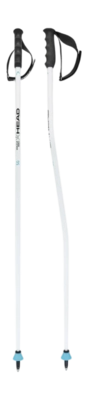 Skistok HEAD Worldcup SG White/Black/Speed Blue