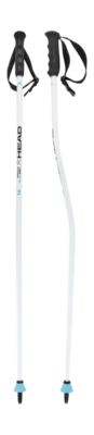 Skistok HEAD Worldcup SG JR Race White/Black/Speed Blue