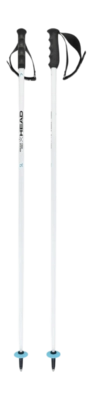 Skistok HEAD Worldcup SL Race White/Black/Speed Blue