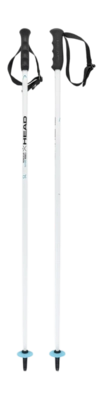 Skistok HEAD Worldcup SL JR Race White/Black/Speed Blue