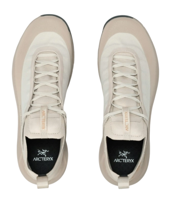 3---S25-X000009602-Vertex-Alpine-GTX-Shoe-Rune-Esoteric-Pair-_no-bg