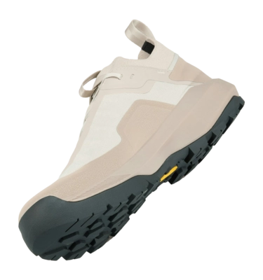 4---S25-X000009602-Vertex-Alpine-GTX-Shoe-Rune-Esoteric-Side-_no-bg