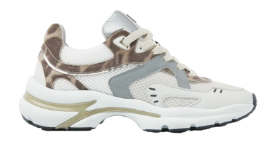 Sneaker Via Vai Vesper Kelsey Giaguaro Damen White / Brown