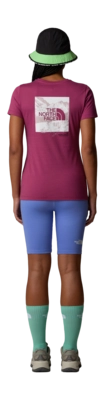 4---8952_90M_ALT2-_no-bg
